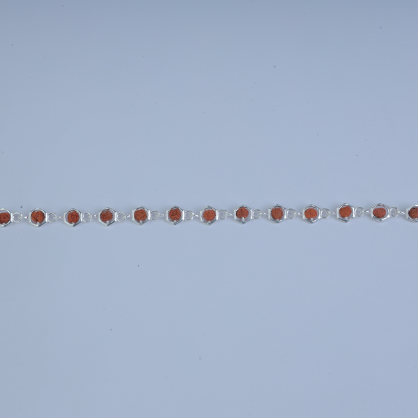 Silver Hexa Rudraksh Rakhi